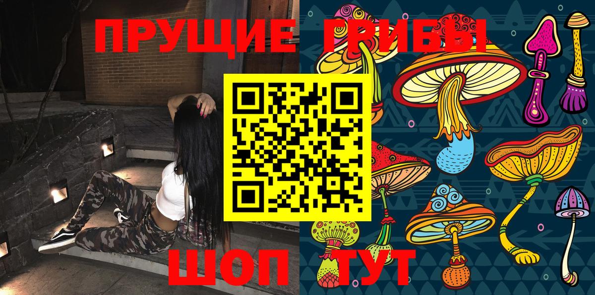 Псилоцибиновые грибы Psilocybine cubensis Грозный